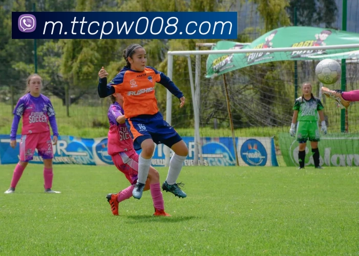 天天彩票官方网站平台生态图